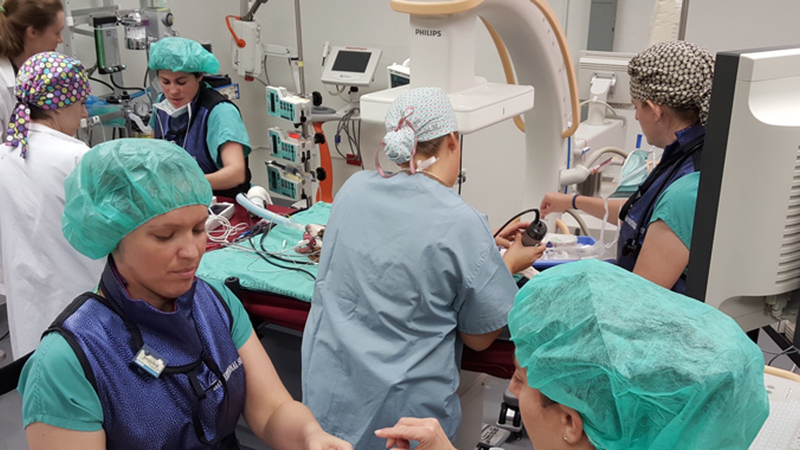 Internal Medicine Specialists