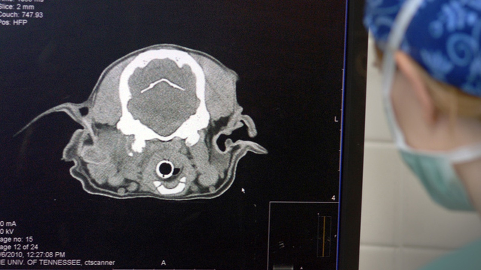 Veterinary Radiologists