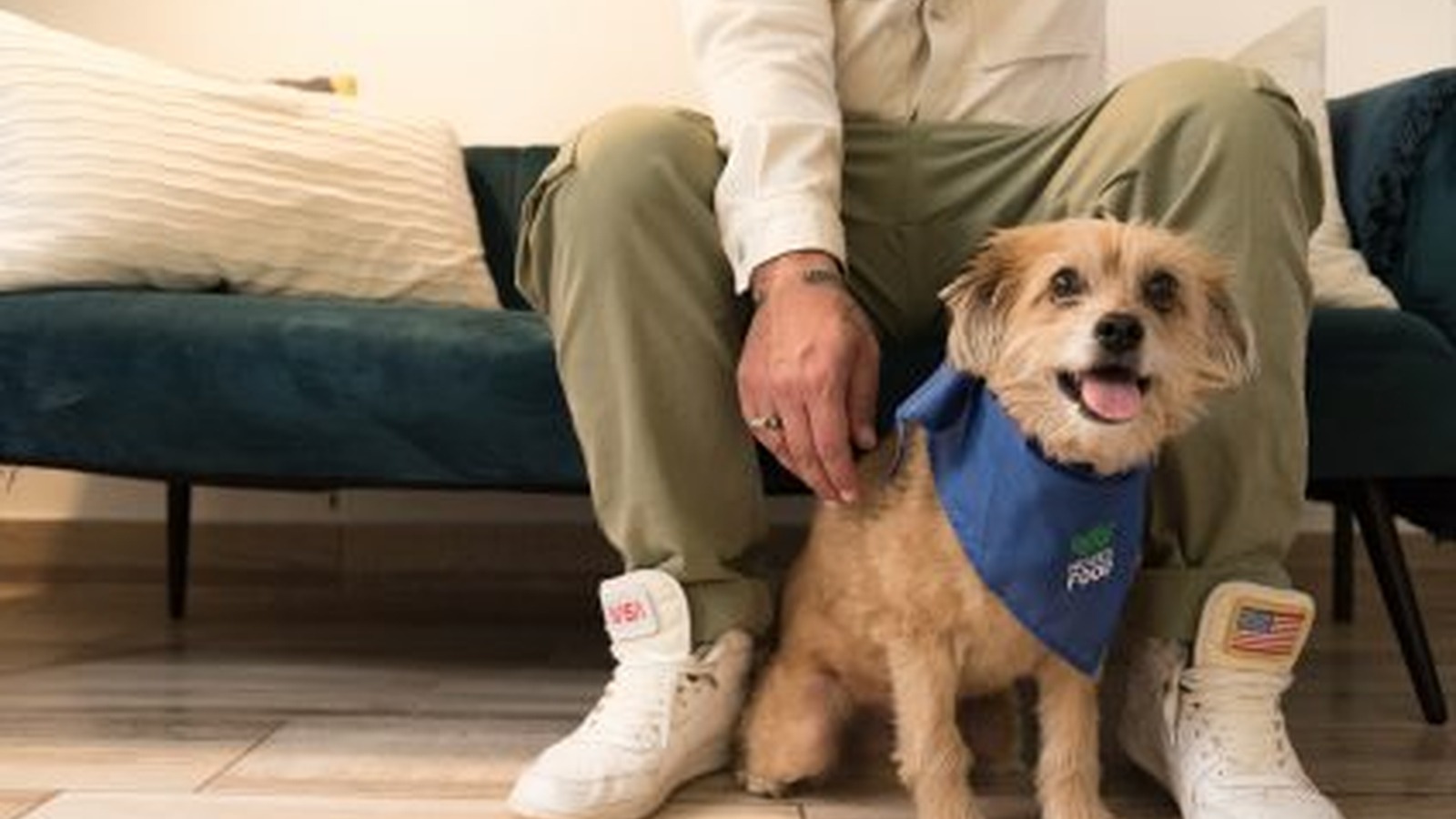 Urgent Care Veterinarians