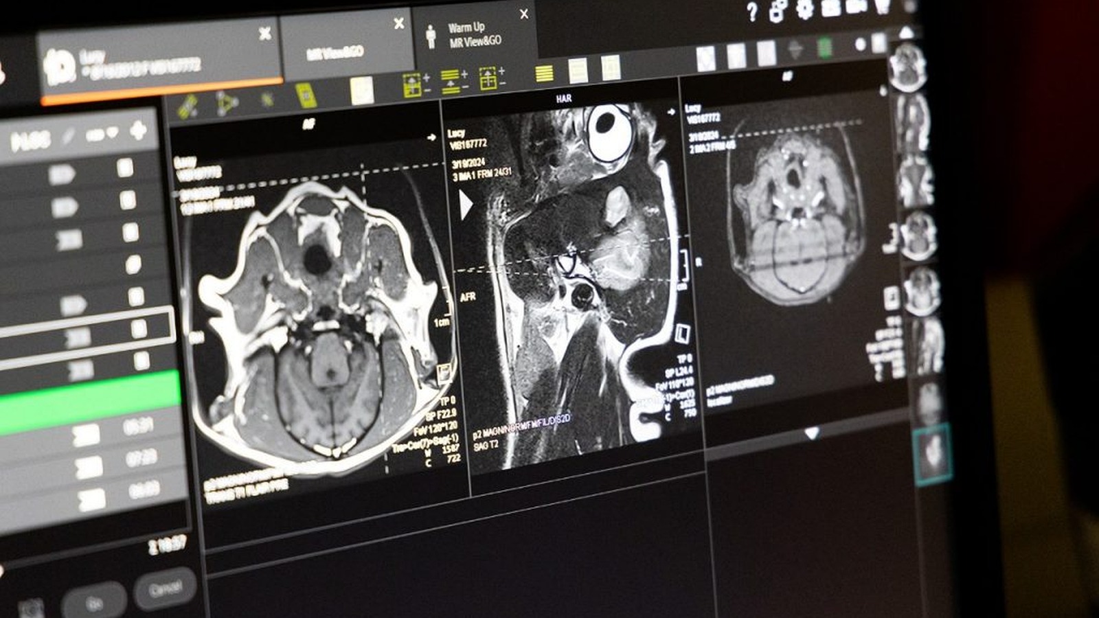 Veterinary Radiologists