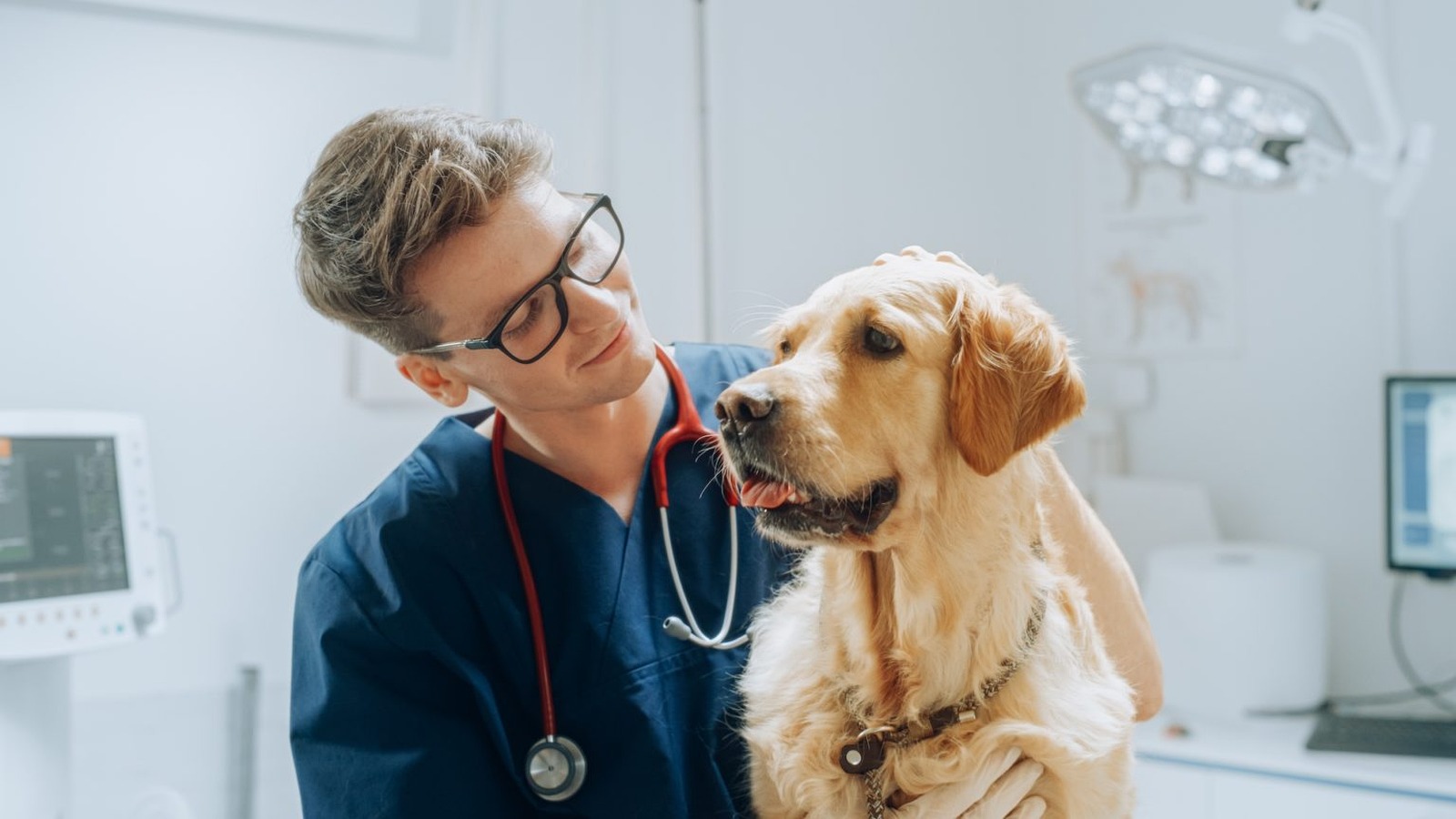 Veterinary Surgeons